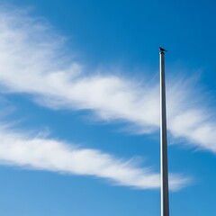 A lone bird perched on a tall pole against a blue sky with white clouds