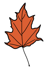 orange maple leaf