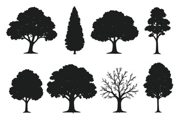 Set of black tree silhouettes. Collection of diverse forest and park trees. Vector illustration for nature, landscape, and environmental design. Oak, pine, bare tree icons.