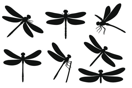 Dragonfly silhouettes set. Striking insect vector illustration collection. Black dragonflies in various poses, flying and resting. Nature graphic design element icons.