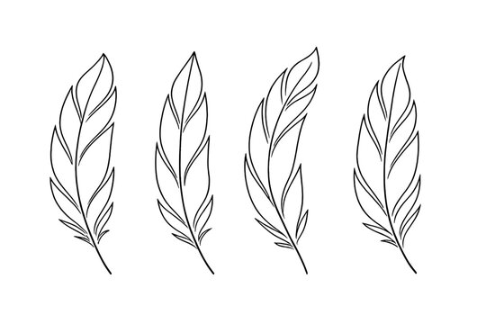 Naklejki Elegant Feather Line Art, Detailed Feather Outlines on White Background, Minimalist Vector Illustration, Transparent Background, Decorative Design Elements