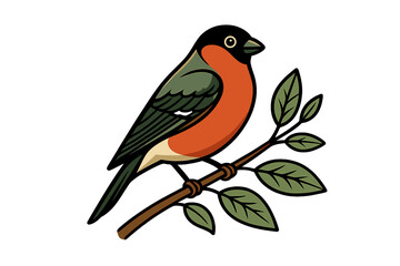 Bullfinch bird perched on a tree branch. Vector illustration for wildlife and nature themes. Cute cartoon avian design perfect for birdwatching enthusiasts, logos, or icons.