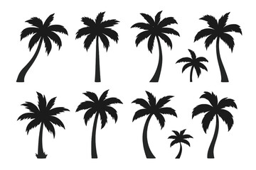 Set of black palm tree silhouettes. Tropical coco palm vector icons for summer vacation design. Exotic island tree collection isolated on white background. Hawaii, travel theme.