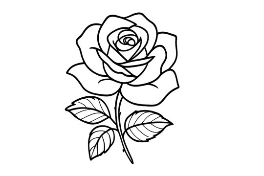Single rose line art. Botanical vector illustration for tattoos, logos, coloring pages. Minimalist floral design element. Black and white flower outline for romantic themes.