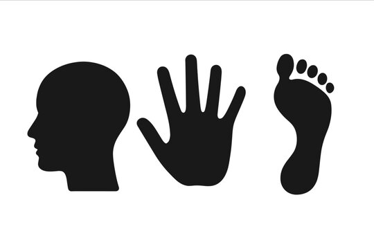 Human head profile silhouette, handprint and footprint vector set, black solid shapes, human anatomy elements, isolated on transparent background, minimalistic design, body parts icons collection