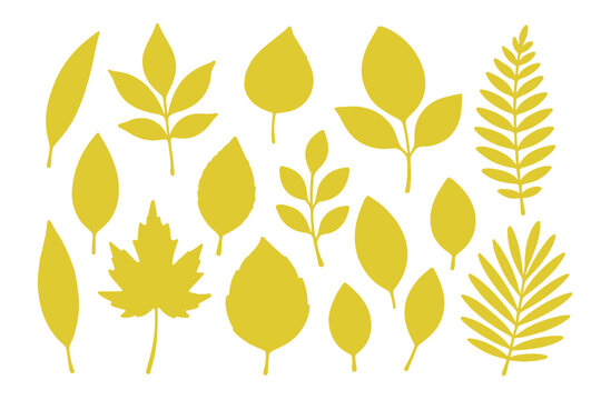 Yellow autumn leaves silhouette vector set. Collection of different botanical leaf shapes. Nature illustration icons for decorative design, floral patterns, and organic themes.
