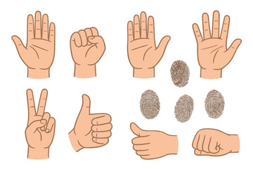 Various Hand Gestures with Palm Prints and Fingerprints Isolated, Open and Closed Hands, Pointing, Waving, High Five, Peace Sign, Thumbs Up, Vector Illustration Transparent Background