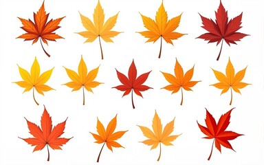 Collection set of yellow orange red maroon autumn fall maple leaf leaves on transparent background cutout, PNG file. Many different design Mockup template for artwork. High quality