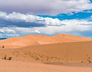 Naklejka premium Desert dunes under a dramatic sky