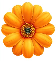 Fototapeta premium Vibrant orange flower, detailed petals, central disc