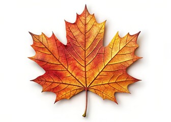 Fototapeta premium Intricate cutout of a vibrant fall maple leaf against a soft white background