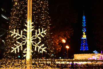 さっぽろホワイトイルミネーション 大通公園