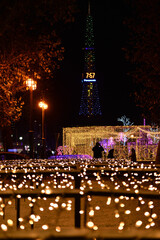 さっぽろホワイトイルミネーション 大通公園