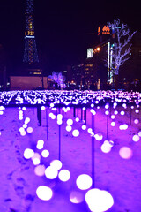 さっぽろホワイトイルミネーション 大通公園