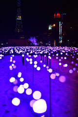さっぽろホワイトイルミネーション 大通公園