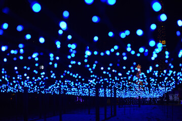 さっぽろホワイトイルミネーション 大通公園