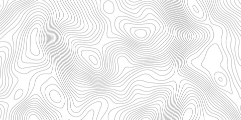 Fototapeta premium white background with abstract topographic dark grey contour lines creating a seamless pattern design A Perfect Fusion of Geometric Grid Lines, and Minimalist Design Elements