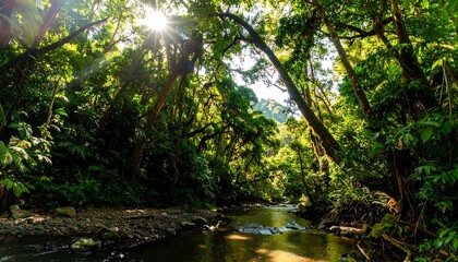 Obraz premium Tropical forest stream scene