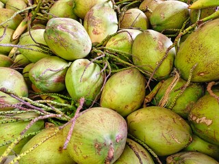 A large pile of green coconuts