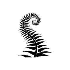 Elegant fern leaf or frond with a spiral curl, perfect for botanical or nature-themed projects.