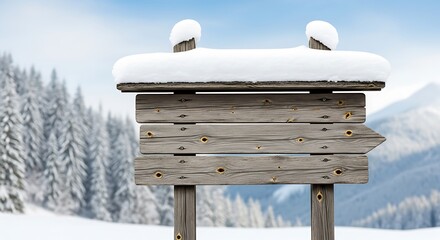 Wooden signpost in snowy landscape winter forest