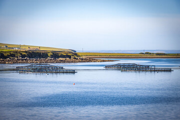 fish farm on orkney islands, orkneys, scotland, uk, nets, salmon