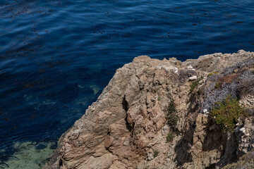 Granitic Rocks, Biotite-hornblende quartz diorite to granodiorite. Soberanes Point Trail, California State Route 1, Monterey County, California.