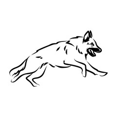 Simple line art drawing of a dog and cat sitting together, a minimalist vector icon for veterinary or pet care.