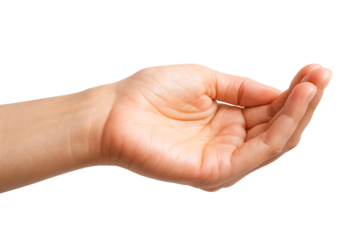 An open hand displaying a relaxed posture, symbolizing offering or receptiveness.