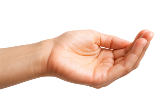 An open hand displaying a relaxed posture, symbolizing offering or receptiveness.