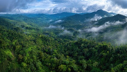 Fototapeta premium Panoramic aerial view of a lush, mountainous rainforest landscape shrouded in mist and low-lying clouds under a partly cloudy sky