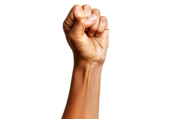 A raised fist symbolizing strength and unity, against a clear background.