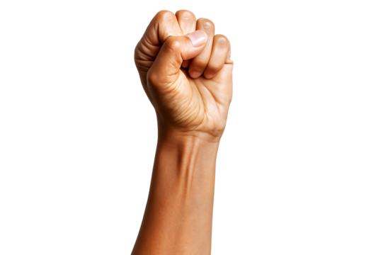 A raised fist symbolizing strength and unity, against a clear background.