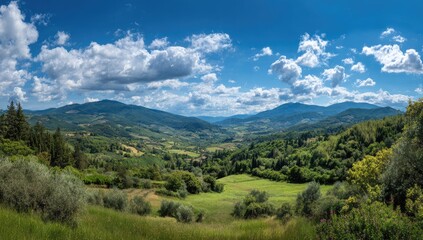 Panoramic view of a sun-drenched valley nestled between rolling green hills and mountains under a vibrant blue sky scattered with fluffy white clouds