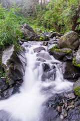 River stream with smooth, silky water and vibrant green plants captured with a slow shutter speed in Permadi Guci, Tegal