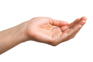 An open hand gesture, representing offering or welcoming.