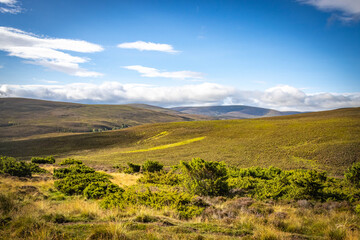cairngorm mountains, cottage, heather, speyside, spey, scotland, uk, cottage, hills, hiking, outdoors