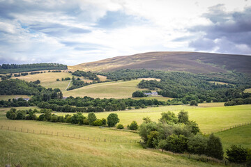 Naklejka premium cairngorm mountains, cottage, heather, speyside, spey, scotland, uk, cottage, hills, 