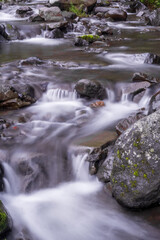 River stream with smooth, silky water and vibrant green plants captured with a slow shutter speed in Permadi Guci, Tegal