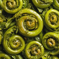 closeup of fiddlehead ferns with vibrant green color, tightly coiled shape, macro wild vegetable photography