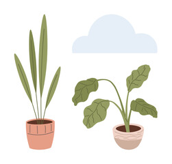 Two potted indoor plants with minimalist design one with tall grass, the other with broad leaves. Ideal for nature, simplicity, home decor, wellness, gardening, lifestyle, eco-friendly themes