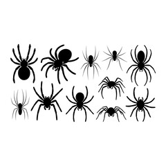 Black spider silhouettes spiders arachnid