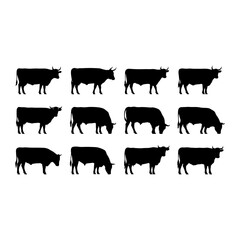 Fototapeta premium Cattle silhouettes in various poses cows bulls