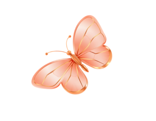 Rose Gold Butterfly with Gold Outlines