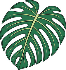 Green monstera leaf with four split holes on a cream background green leaf tropical plant