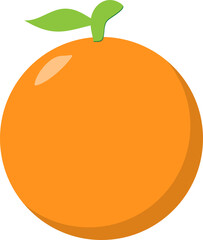 vector illustration of an orange fruit