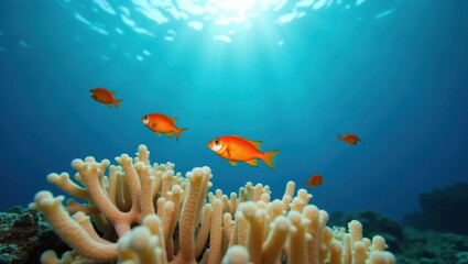 Vibrant orange fish swim near coral reef under bright sunlight