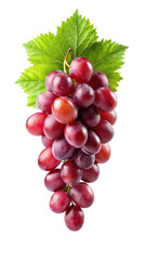 Fototapeta premium Red Grape with Leaves Isolated on White Background