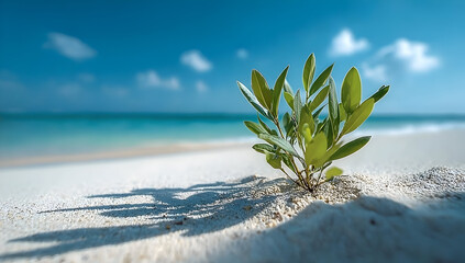 A vibrant green sprout emerges from the sandy beach, symbolizing resilience in nature. The backdrop features a serene ocean and clear blue skies.