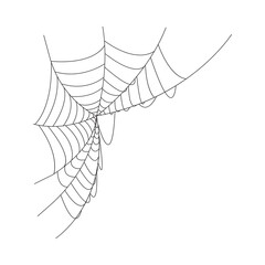 spider and web  silhouette isolated on transparent background